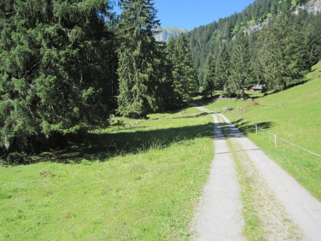 img_1466