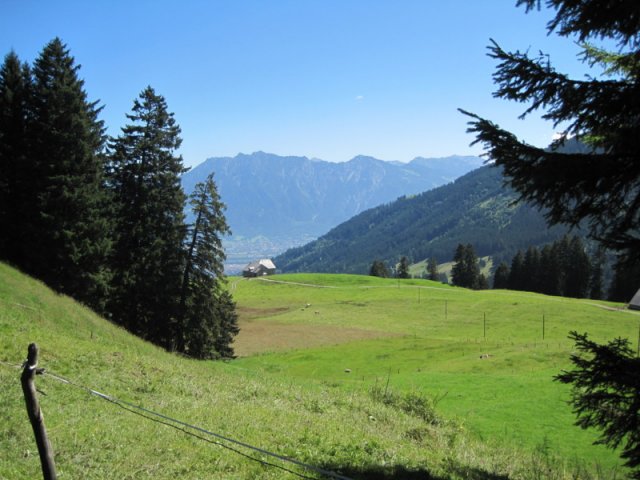 img_1477