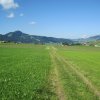 img_1390