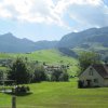 img_1391