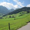 img_1393
