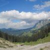 img_1431