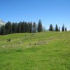 img_1453