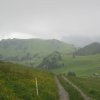 img_2484