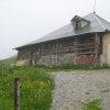 img_2485