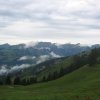 img_2493