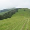 img_2503