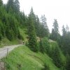 img_2516