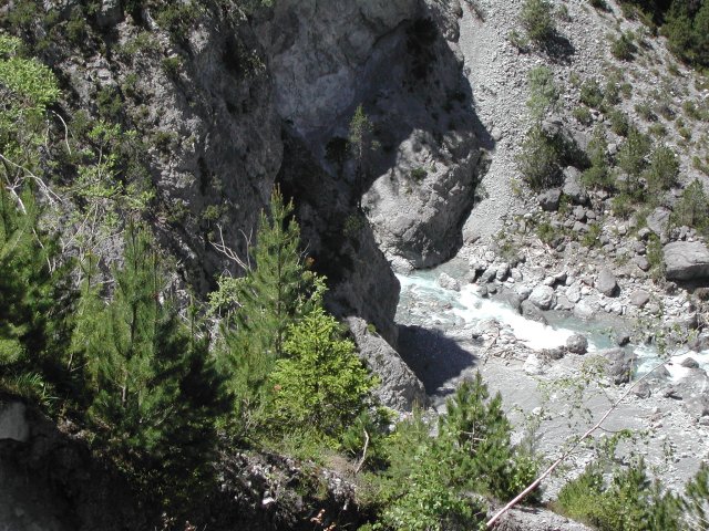 DSCN2581