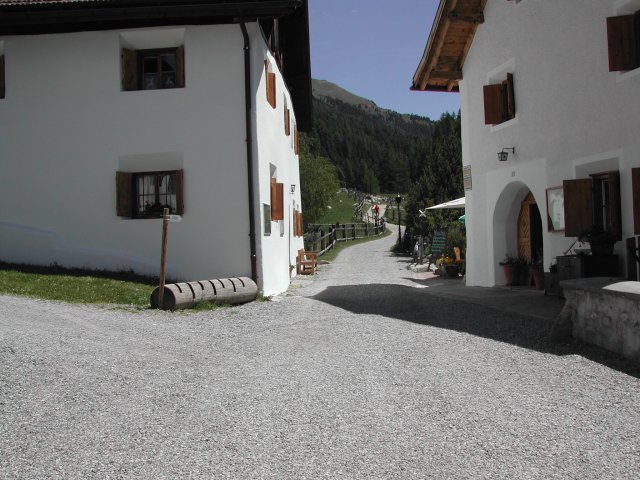 DSCN2584