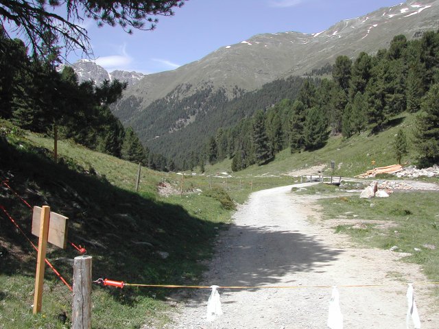 DSCN2586