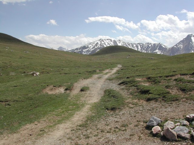 DSCN2590