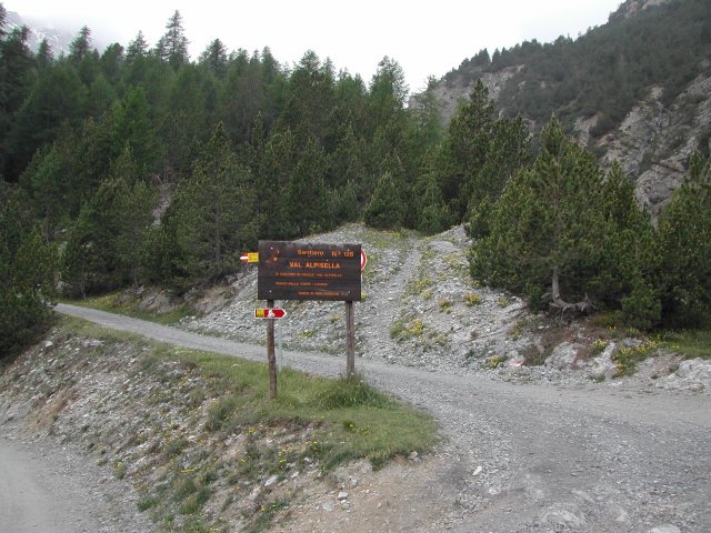 DSCN2606
