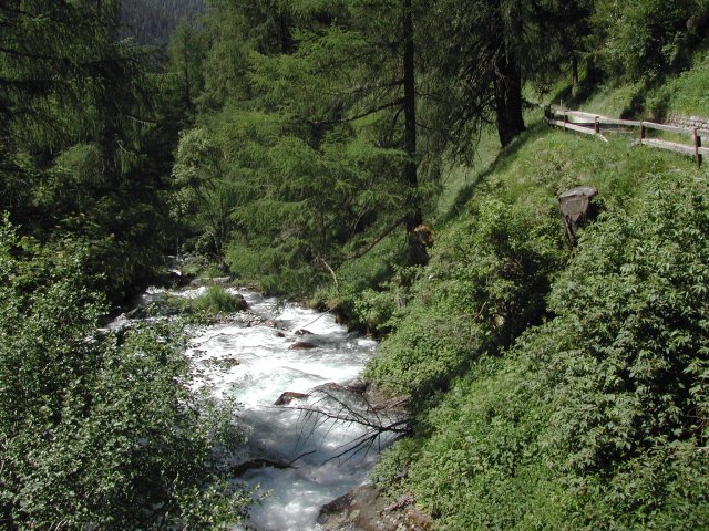 DSCN2621