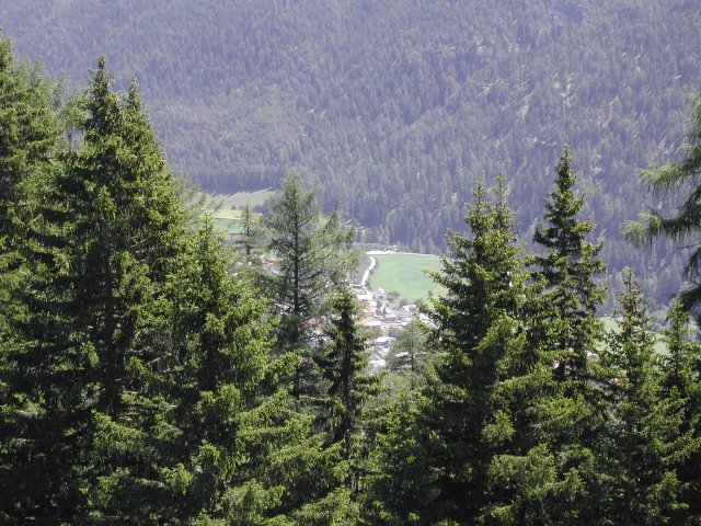 DSCN2623