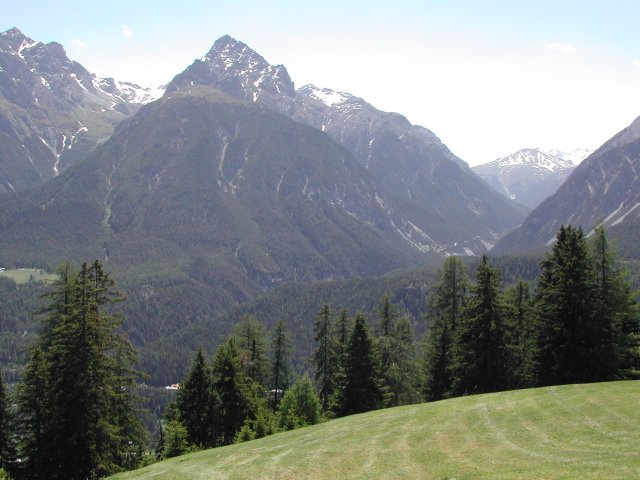 DSCN2624