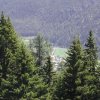 DSCN2623