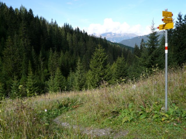p1030118