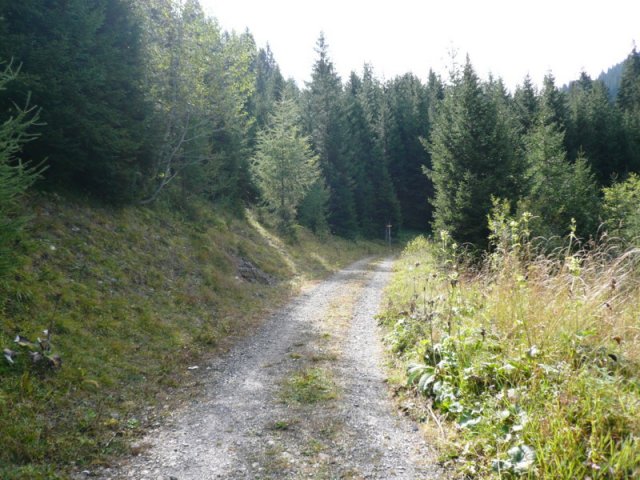 p1030119