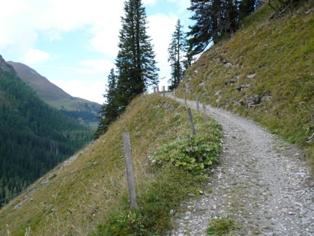 p1030121