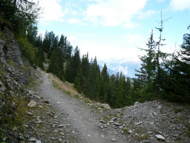 p1030122