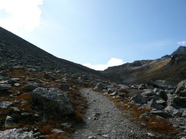 p1030143