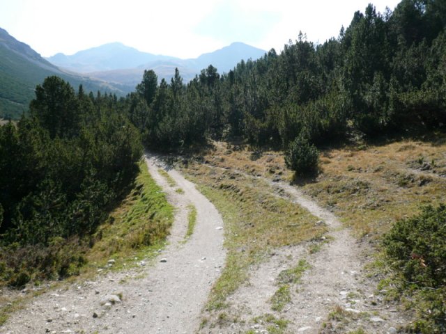 p1030169