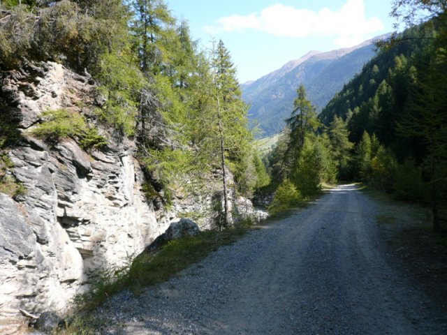 p1030174