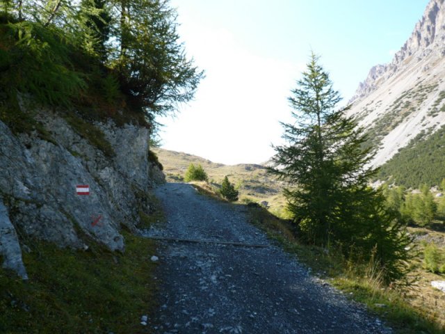 p1030191