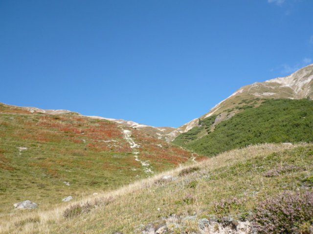 p1030202
