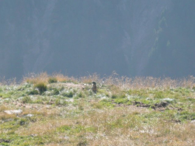 p1030206