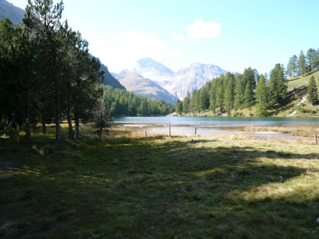 p1030234