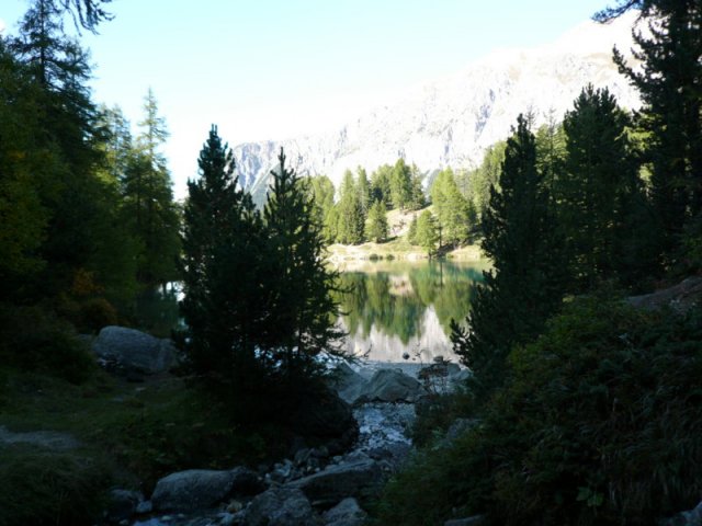 p1030235