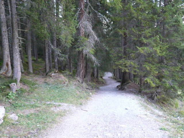 p1030242