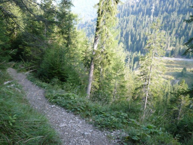 p1030245