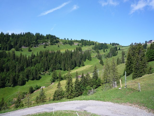 p1000043