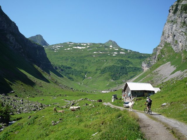 p1000073