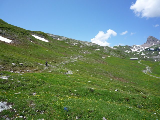 p1000077