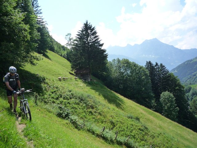 p1000089