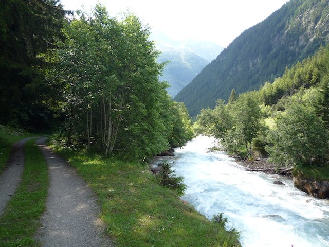 p1000098