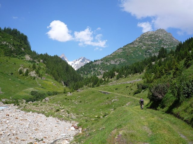 p1000103
