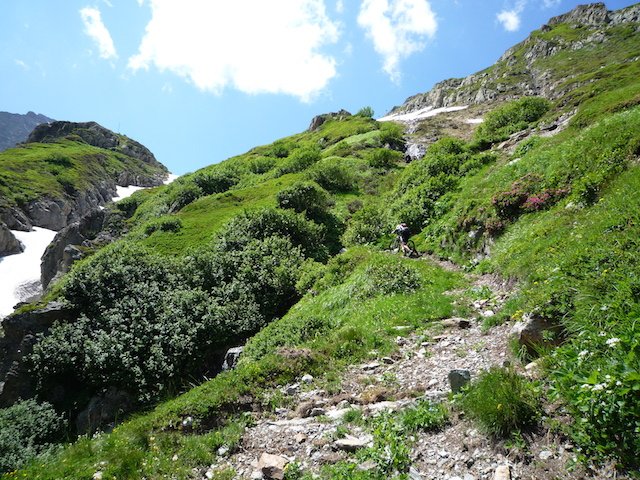 p1000115