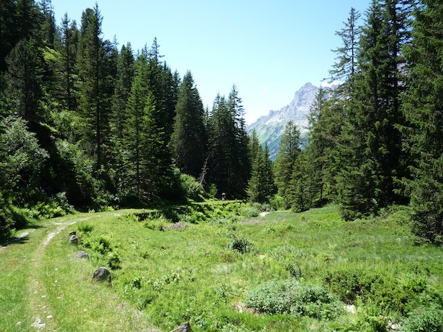p1000123