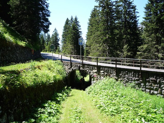 p1000124