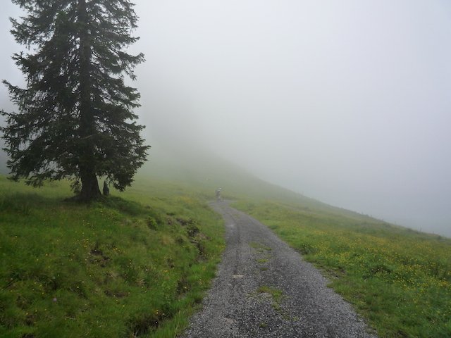 p1000166