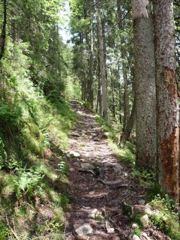 p1000188