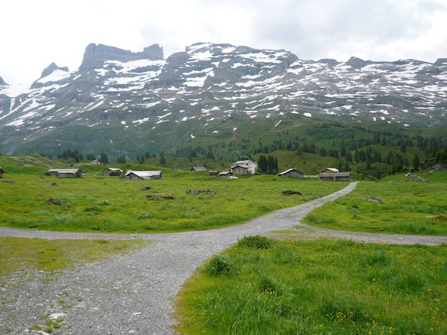 p1020411