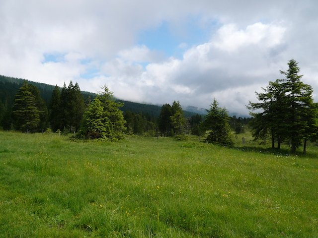 p1020439