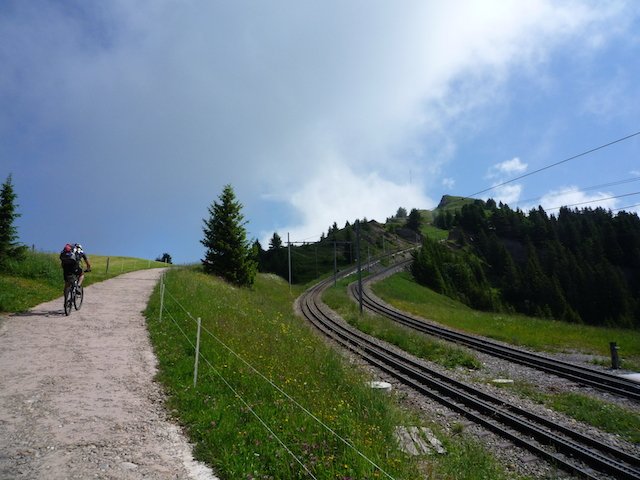 p1000044