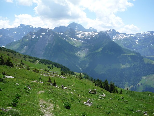 p1000086